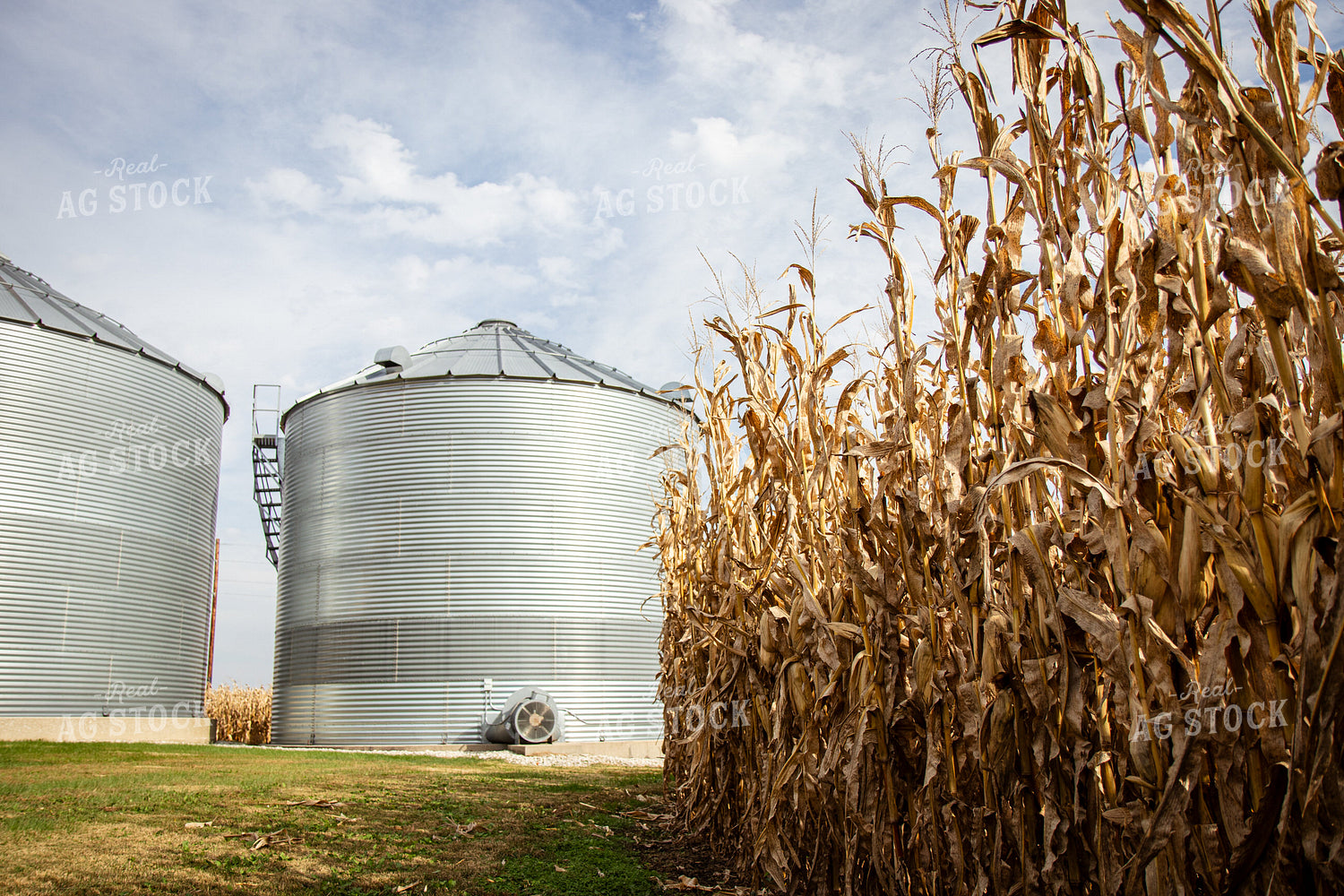 Bins By Dried Corn Field 268172