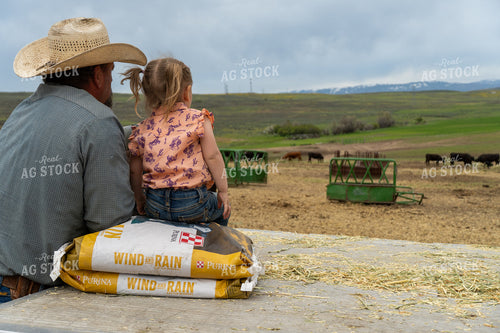 Father and Daughter Watching Cattle on a Scenic Ranch Landscape 65267