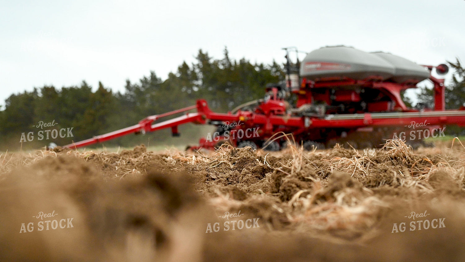 Planting into Tilled Cover Crops 25138