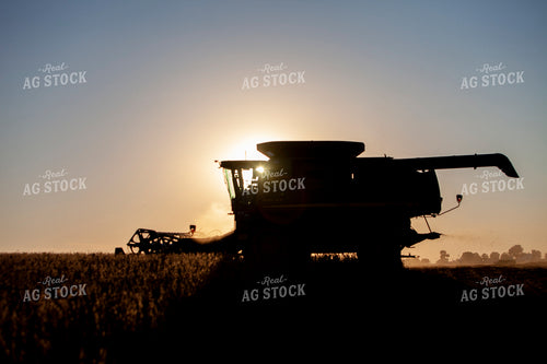 Harvest 1811