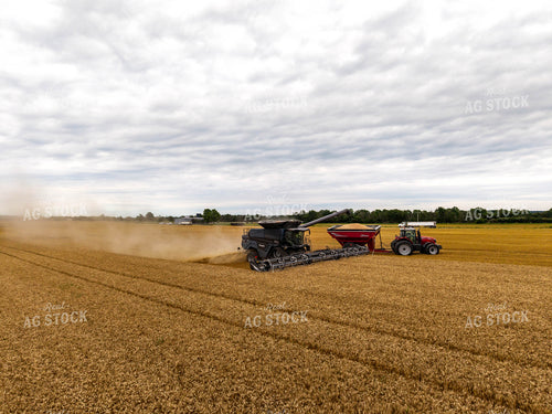 Wheat Harvest 115973