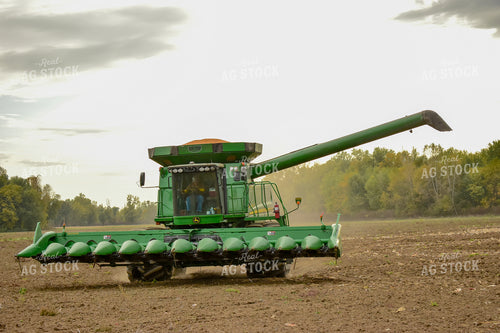Full Combine in Corn Field 84052