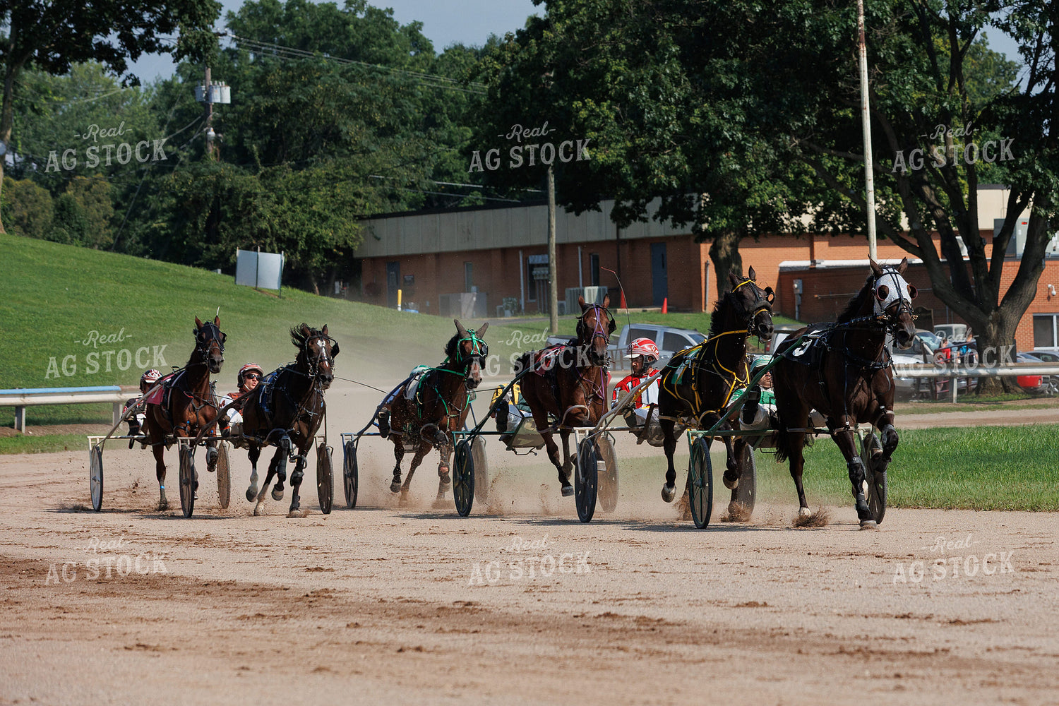 Harness Racing 52938