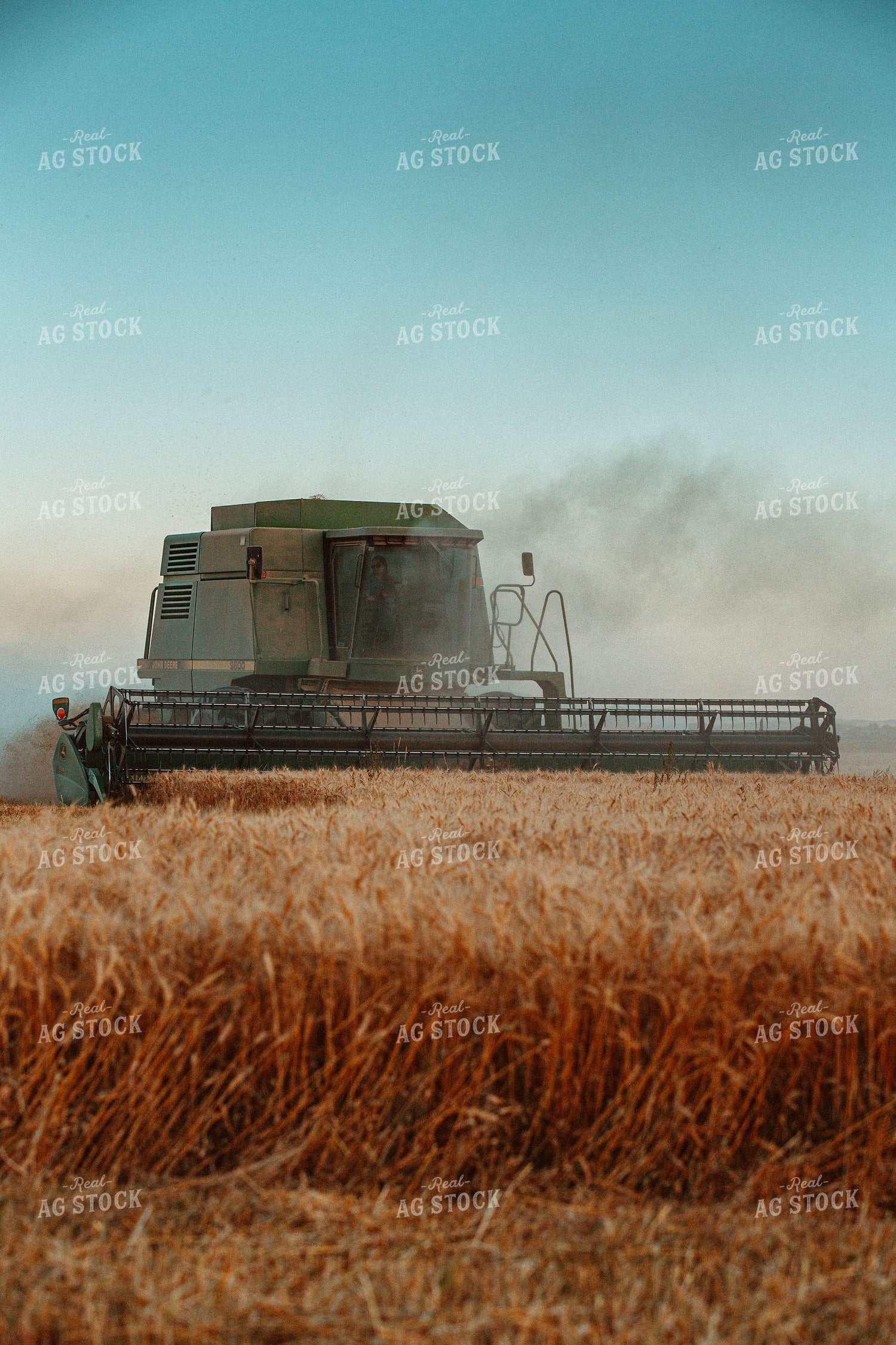 Wheat Harvest 81083
