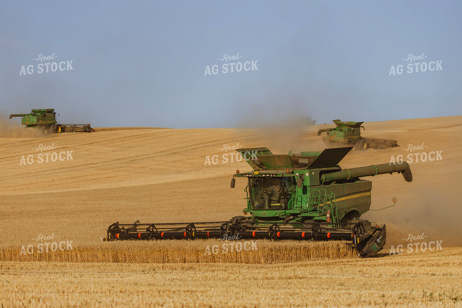 Wheat Harvest 187335