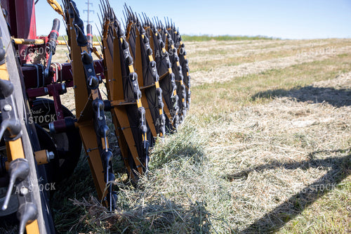 Hay Rake 117129