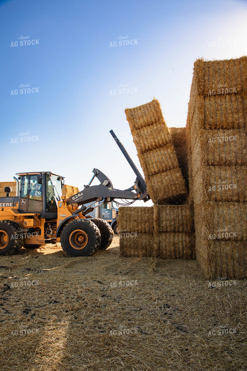 Stacking Wheat Straw Bales 152576