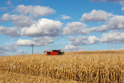 Corn Harvest with Windmill 67041