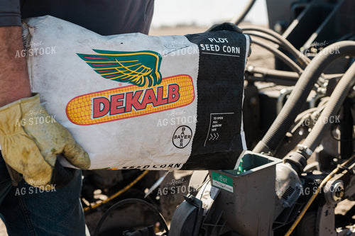 Farmers Pours Seed into Planter 133003