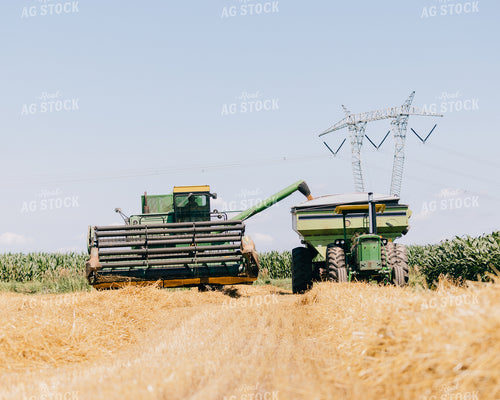 Wheat Harvest 178034