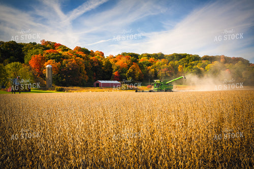 Soybean Harvest 153016