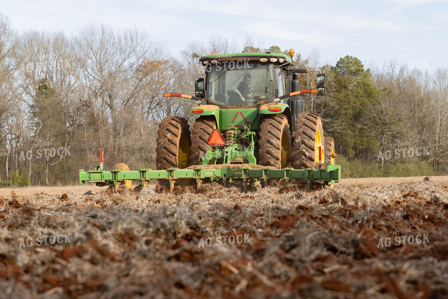 Cultivating 79545