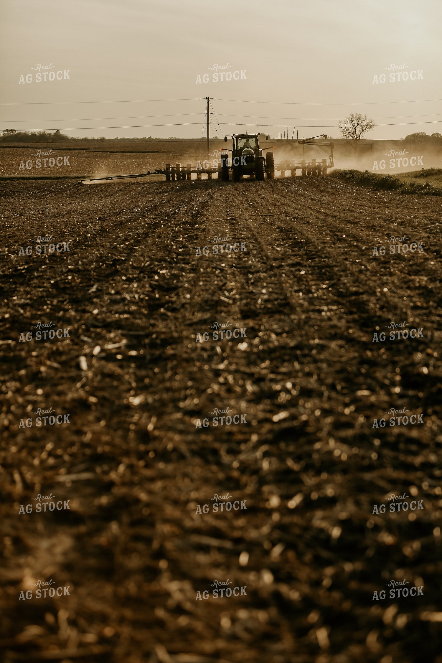 Planting 2857