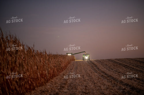 Corn Harvest at Dusk 76344