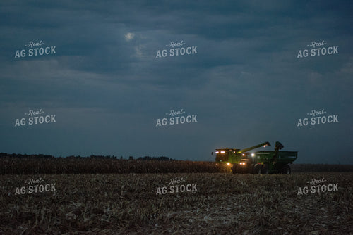 Corn Harvest 129068