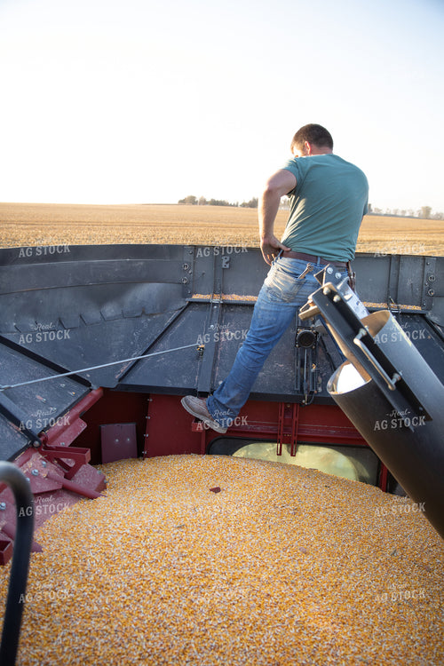 Farmer Fixing Combine 286039
