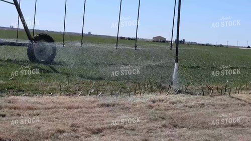 Pivot Irrigation on Wheat 190020