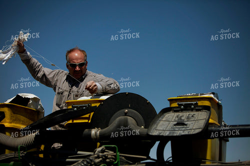 Planting 2001