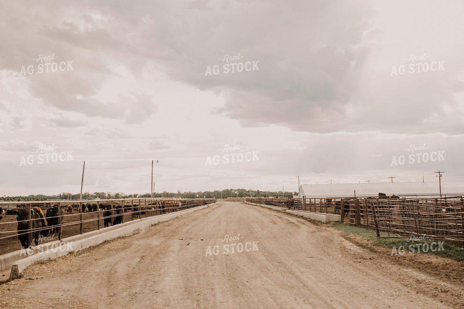 Feedyard 3040