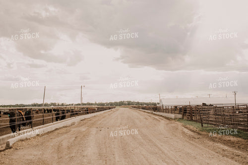 Feedyard 3040