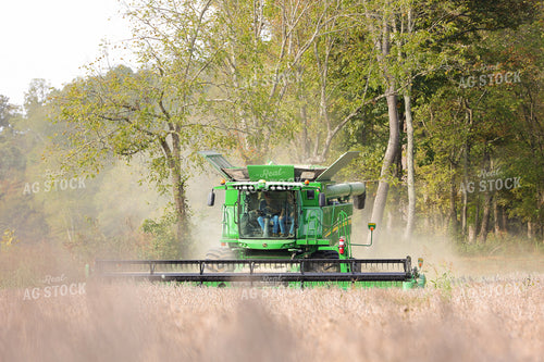 Combine Harvesting Soybeans 52251