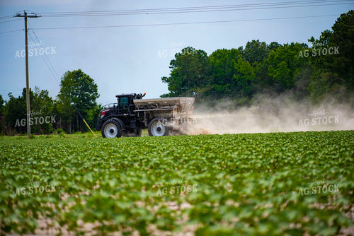 Spreading Dry Fertilizer in Cotton Field 136215