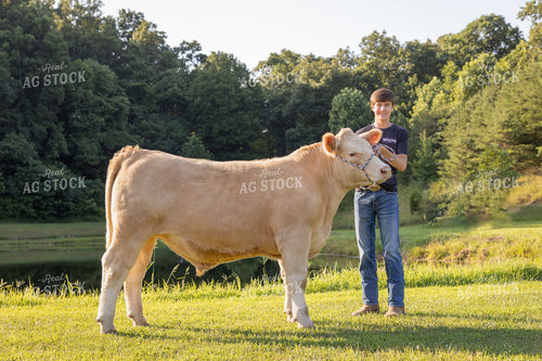 Farm Kid with Steer 52497