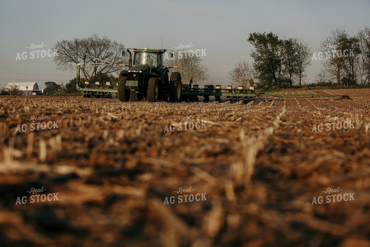 Planting 2861