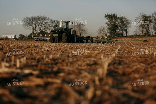 Planting 2861
