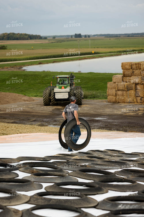 Storing Corn Silage 296017