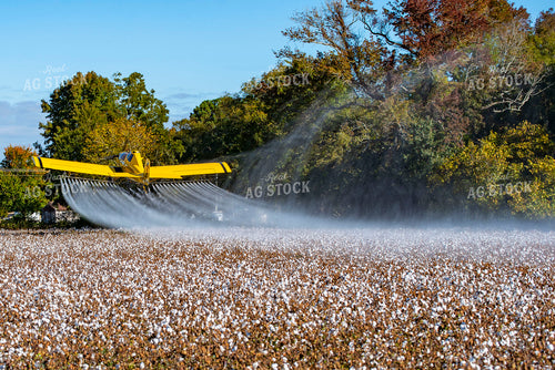 Crop Duster Spraying Cotton Field 136260