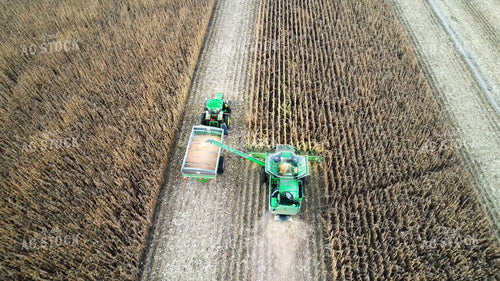 Soybean Harvest 65489