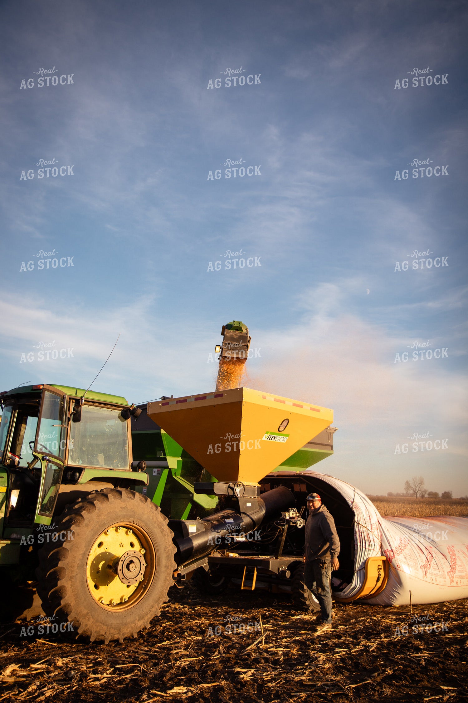 Bagging Harvested Corn 268247