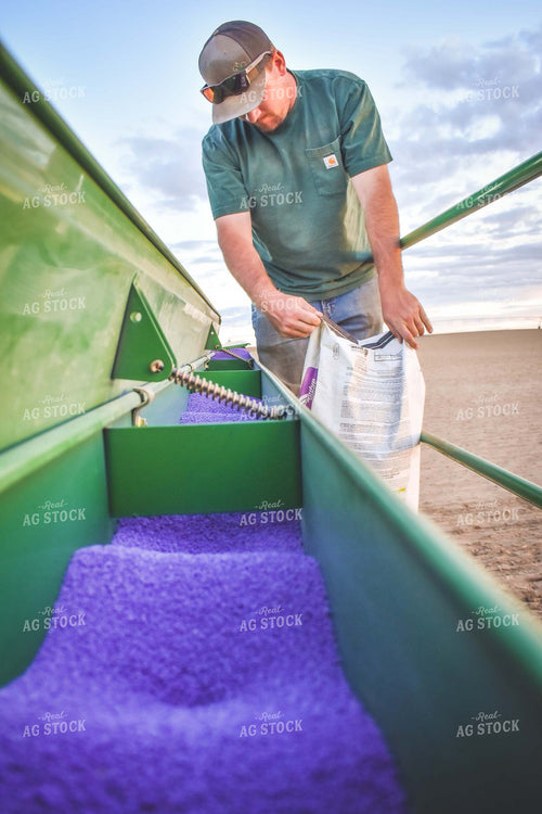 Loading Drill with Alfalfa Seed 56080