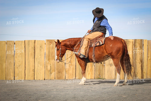Male Rancher on Horse 78042