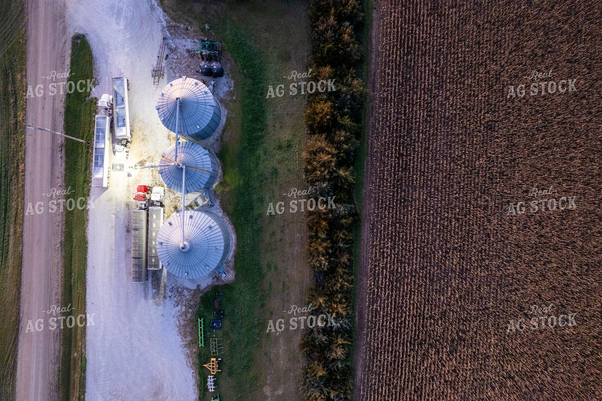 Unloading Harvested Grain 65978