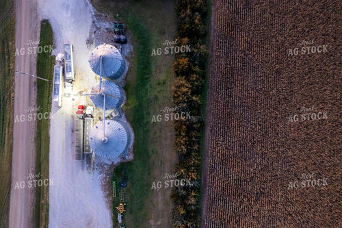 Unloading Harvested Grain 65978