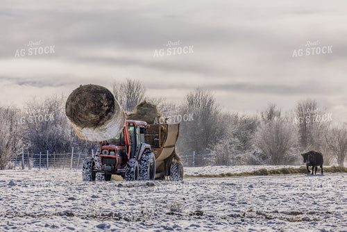 Bale Processor 304050