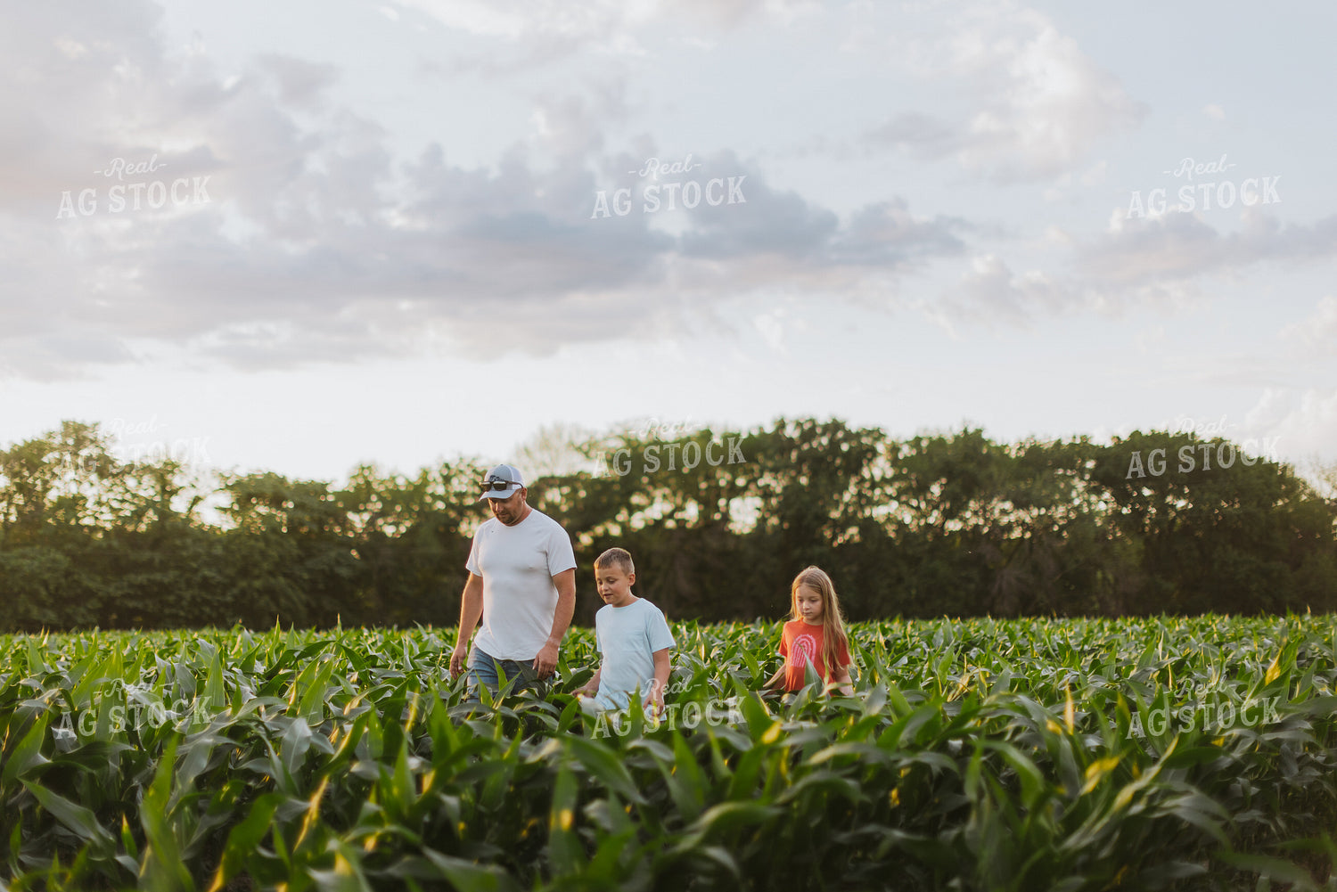 Farmer and Kids Checking Corn 8783