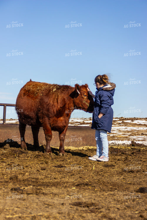 Farm Kid with Cow 155144