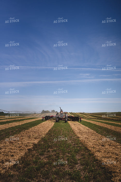 Raking Hay 196048