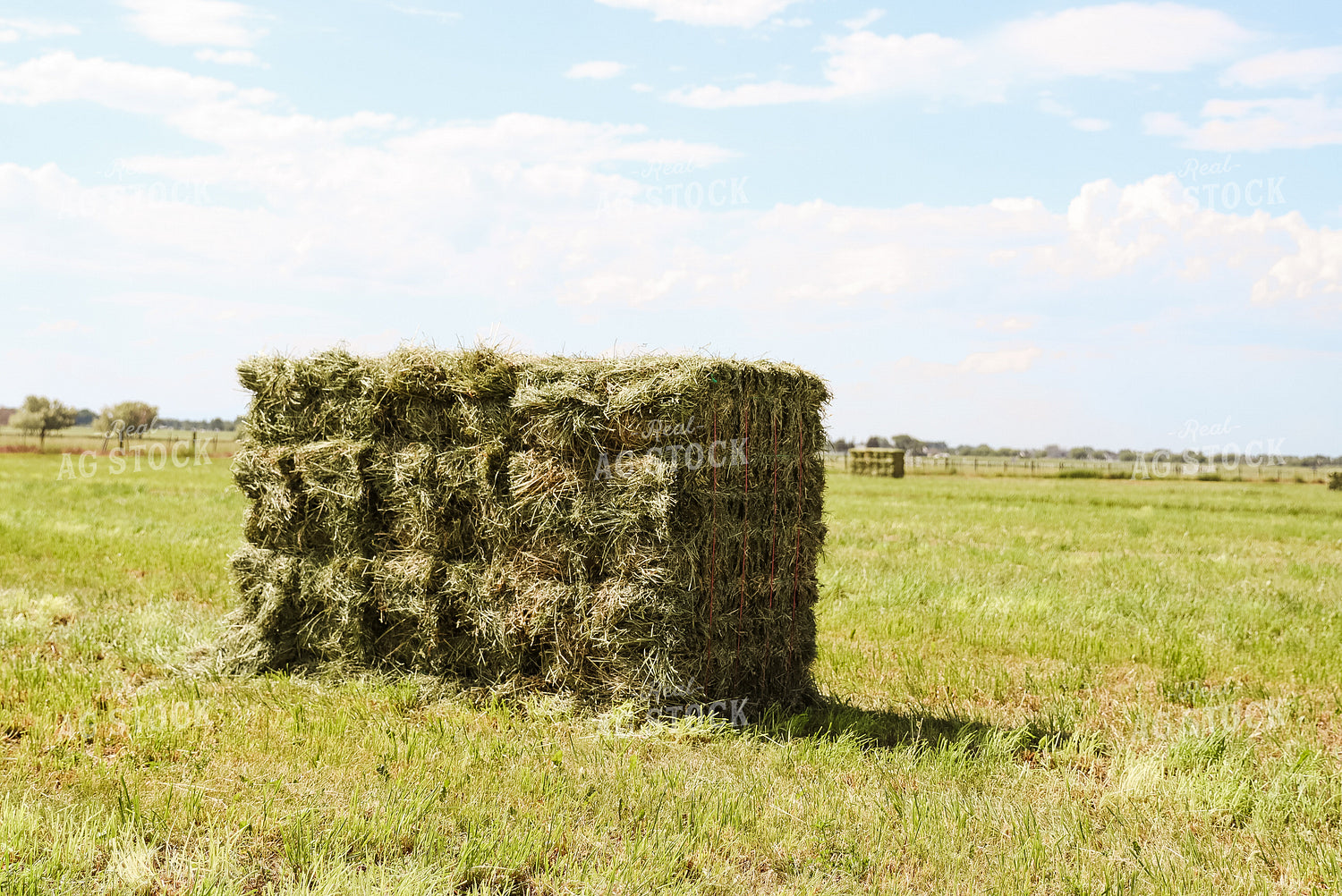 Square Bales in Field 83040