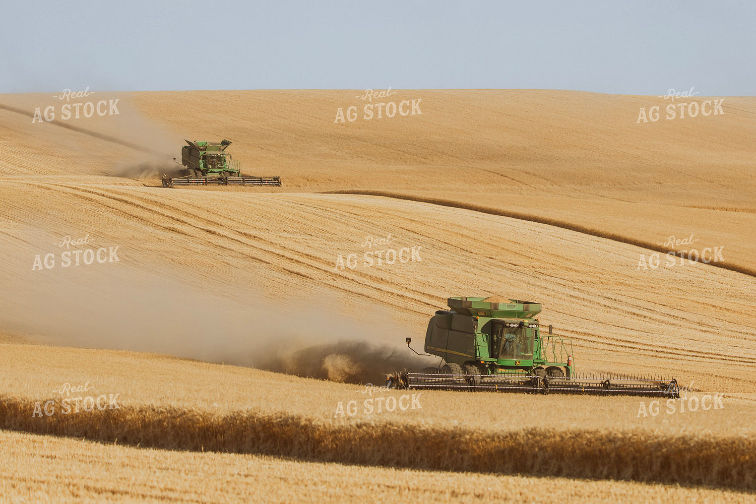 Wheat Harvest 187286