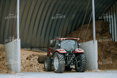 Tractor in Farmyard 77134