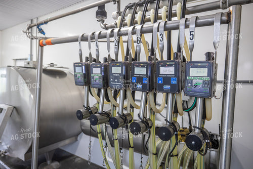 Milking Parlor 270416