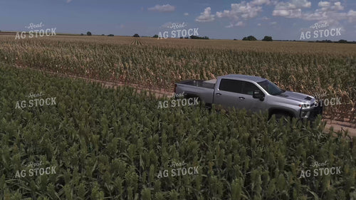 Driving Through Along Corn and Milo Fields 239375