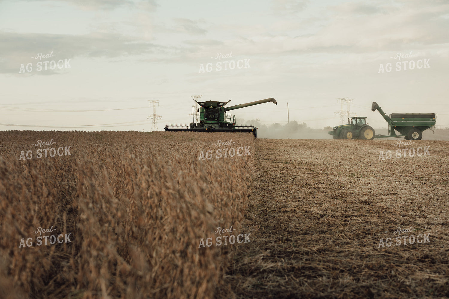 Combine Cutting Soybeans 3440