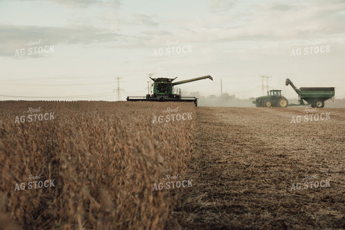 Combine Cutting Soybeans 3440