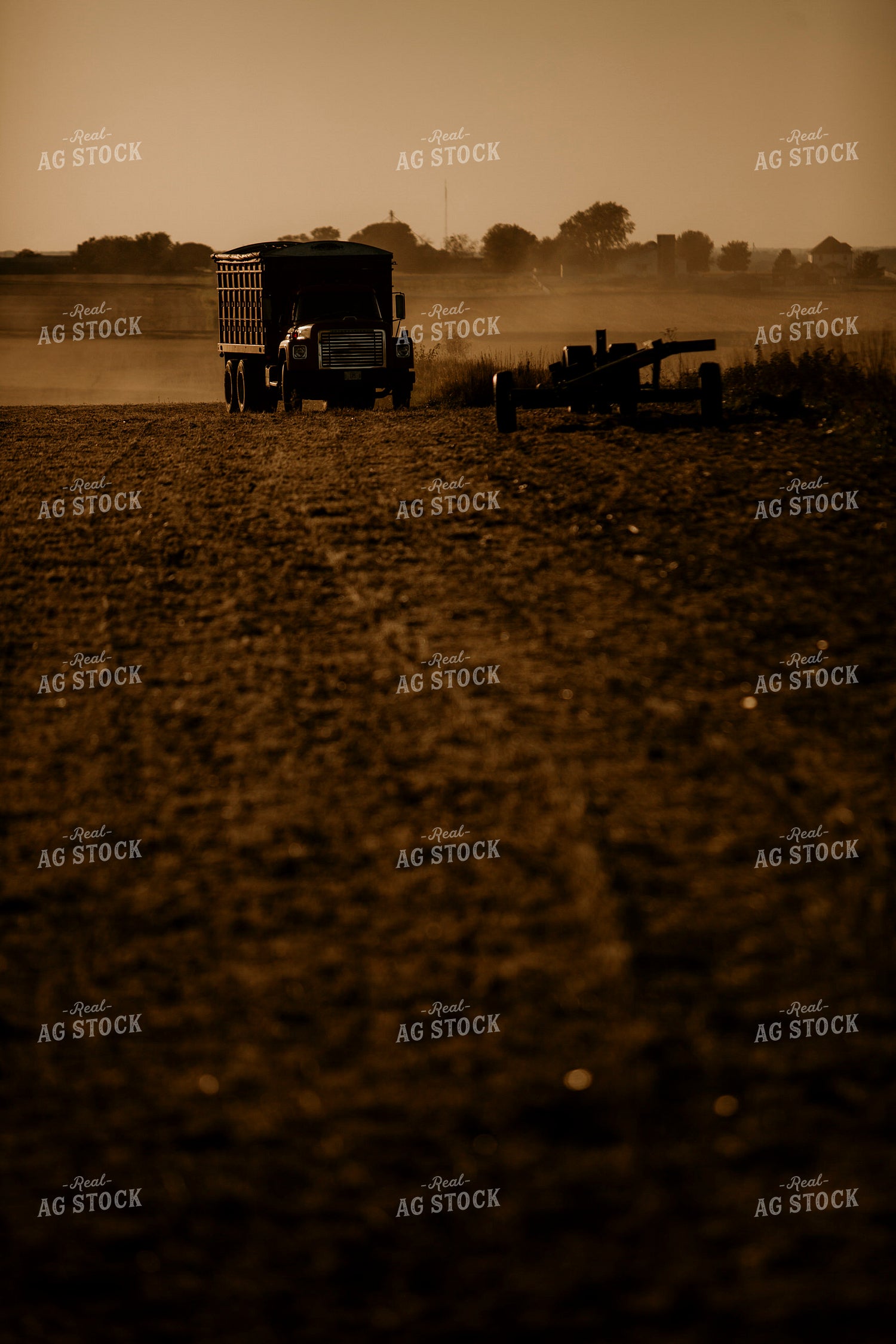 Harvest 2556