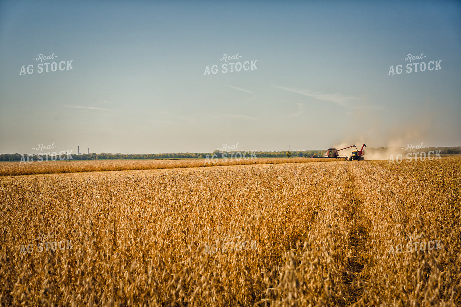 Soybean Harvest 153000